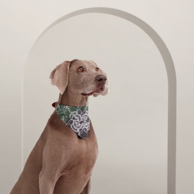 Eperon d'Or dog bandana, large model | Hermès Canada